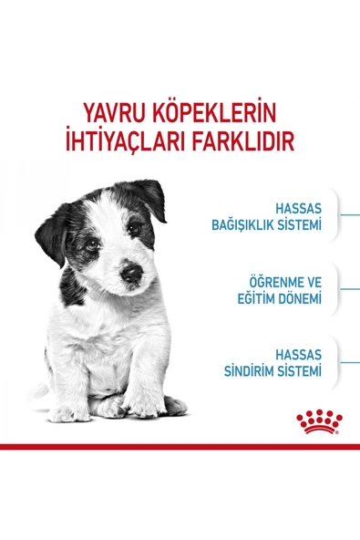 Mını Puppy Küçük Irklar Için Yavru Kuru Köpek Maması 4kg - 4