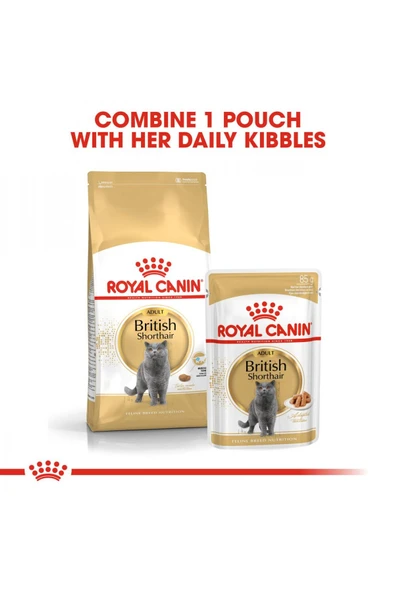 British Shorthair için Yaş Kedi Maması 12 x 85g - Resim 7