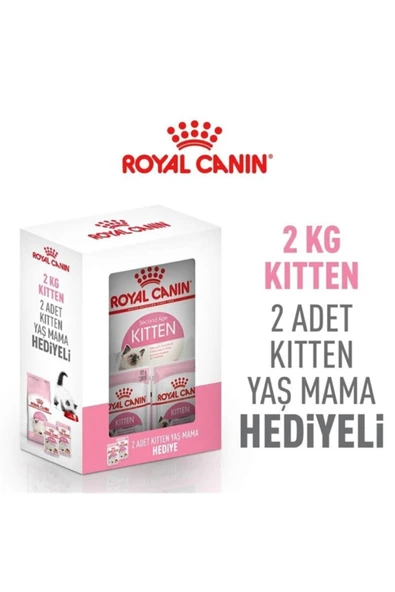 Box Kitten Yavru Kedi Maması 2 Kg + 2 Adet Kitten Yaş Mama Hediyeli - Resim 2