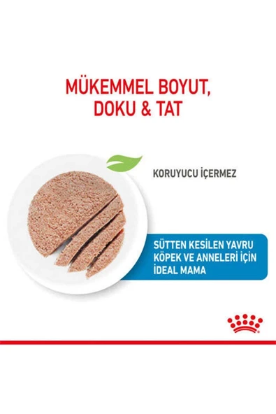 Starter Mousse Anne ve Yavruları İçin Köpek Konservesi 195 Gr - 5