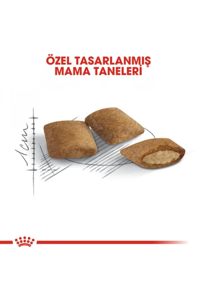 Ageıng 12 12 Yaş Ve Üzeri Kediler Için Kuru Kedi Maması 2kg - 4