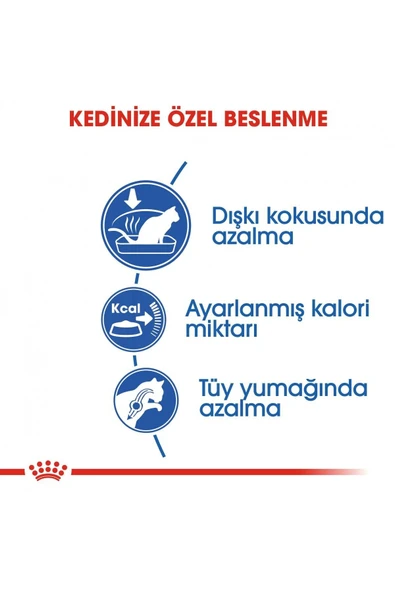 Indoor Ev Kedileri İçin Kedi Maması 400 gr - Resim 4
