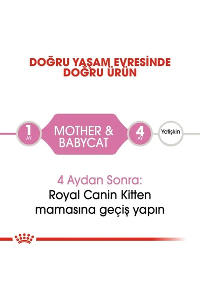Babycat İnstinctive Yavru ve Anne Kediler İçin Konserve 195Gr - 6
