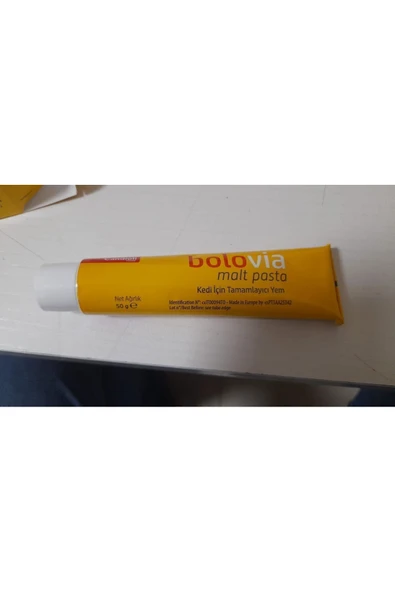 Bolovia Kedi Maltı - 3