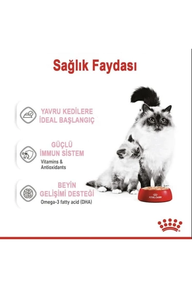 Mother Baby Cat 195 Gr X 12 Adet - 3