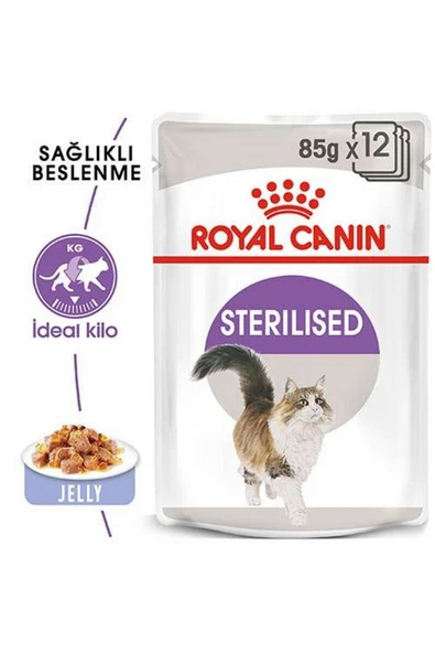 Royalcanin Jelly Kısırlaştırılmış Kedi Konservesi 85gr X 12 Adet - 2