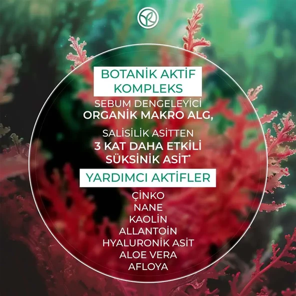 Yves Rocher Sebo Active Clear Arındırıcı Botanik Aktif Kompleks Jel Krem 40 ml - Resim 4