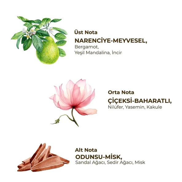 Eyüp Sabri Tuncer Roll-On Deodorant Active - Kadınlar İçin 75 ml - Resim 2