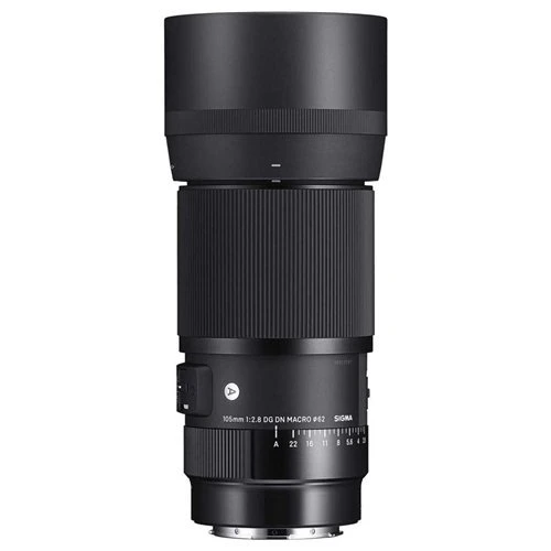 Sigma 105mm f / 2.8 DG DN Macro Art Lens (Sony E) ürün görseli 1