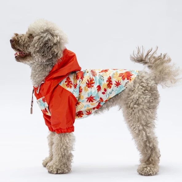 Pawstar Ottawa Polarlı Su Geçirmez Küçük Irk Köpek Yağmurluğu - 1