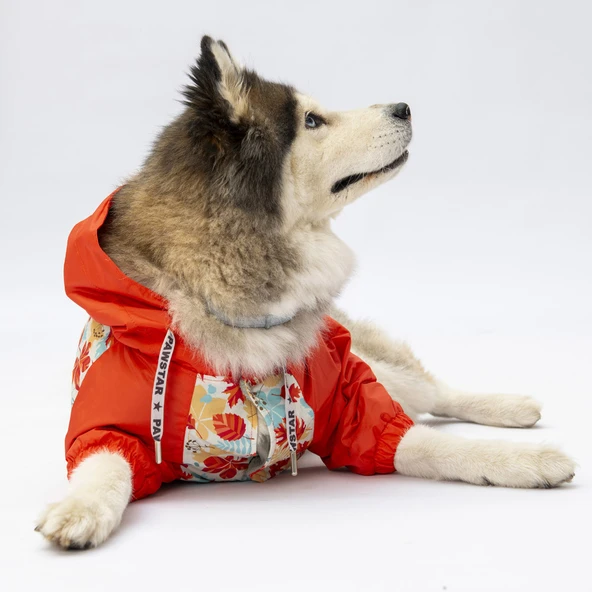 Pawstar Ottawa Polarlı Su Geçirmez Orta-Büyük Irk Köpek Yağmurluğu - Resim 2