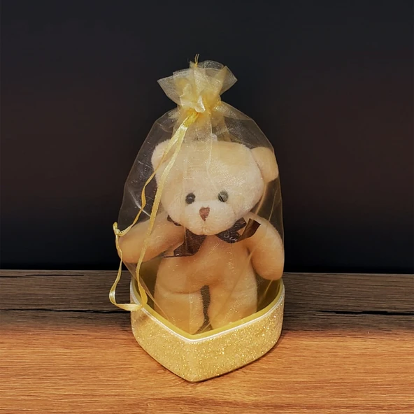 Hediyelik Kese İçinde Ayıcık Tg-53-vice/(1395) 3902