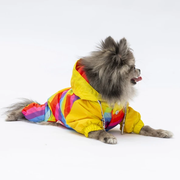 Pawstar Peru Polarlı Su Geçirmez Küçük Irk Köpek Yağmurluk Tulum - 3