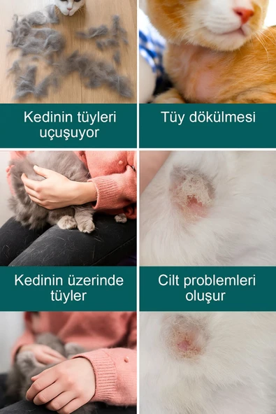 DostTarak-Tüy Açıcı Kedi Köpek Tarağı Tek Taraflı Metal Dişli Evcil Hayvan Bakım Fırçası - 2