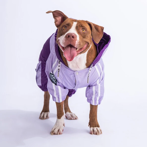 Pawstar BiColor Lila-Mor Polarlı Su Geçirmez Orta-Büyük Irk Köpek Yağmurluk Tulum - Resim 2