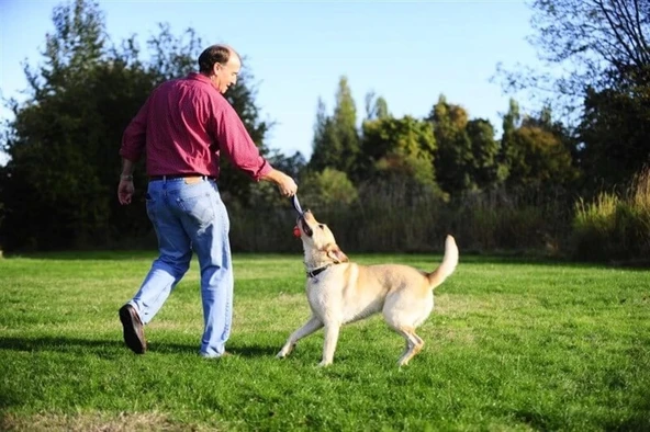 Chuckit! Ultra Duo Tug Dayanıklı Çekiştirme Köpek Oyun Topu Orta Boy 2'li - 5