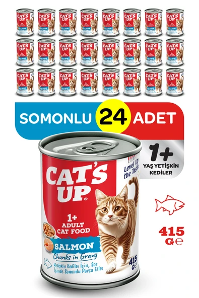 Cats Up Yaş Yetişkin Kedi Maması Somonlu 415gr 24Lü