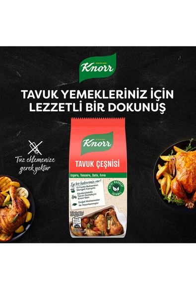 Knorr Tavuk Çeşnisi 60 Gr - 3