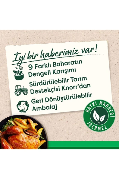 Knorr Sebzeli Çeşni 65g X5 Adet - 5