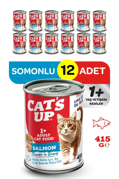 Cats Up Yaş Yetişkin Kedi Maması Somonlu 415gr 12Li ürün görseli 1