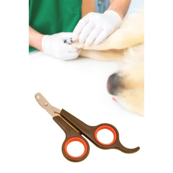 Buffer Küçük Çelik Uçlu Kedi Köpek Evcil Hayvan Tırnak Makası Pati Bakım Aleti Ergonomik Kaymaz Sap - 4