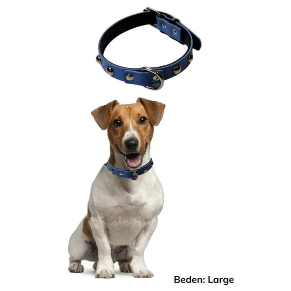 Buffer® Yumuşak Dokulu Deri Köpek Gezdirme Boyun Tasması (large) - 3
