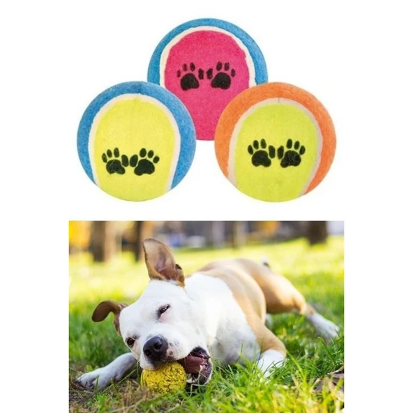 Buffer®  3lü Renkli Desenli Tenis Topu Kedi Köpek Oyuncağı - 8