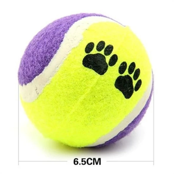 Buffer®  3lü Renkli Desenli Tenis Topu Kedi Köpek Oyuncağı - 4