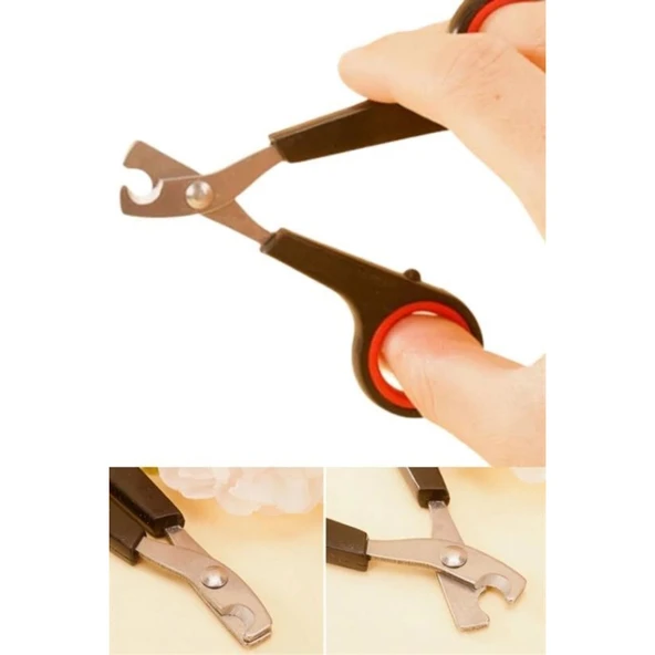 Buffer® Evcil Hayvan Tırnak Makası Ve Törpü Seti Manikür Pedikür Pati Bakım Aleti Kaymaz Sap - 16