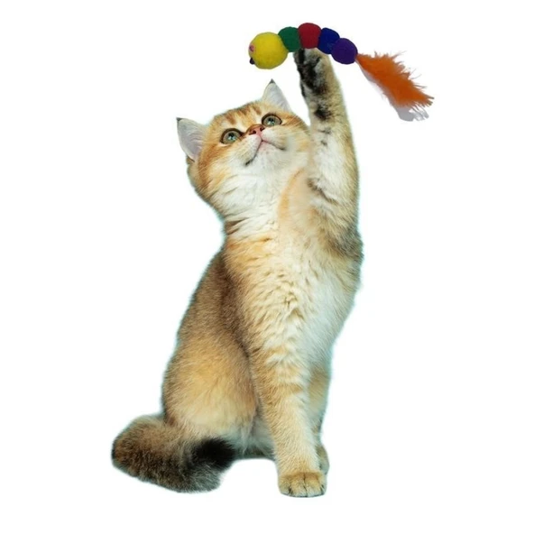 Buffer® Yumuşacık İpli Tırtıl Şeklinde Rengarenk Sevimli Evcil Hayvan Oyuncağı - 5