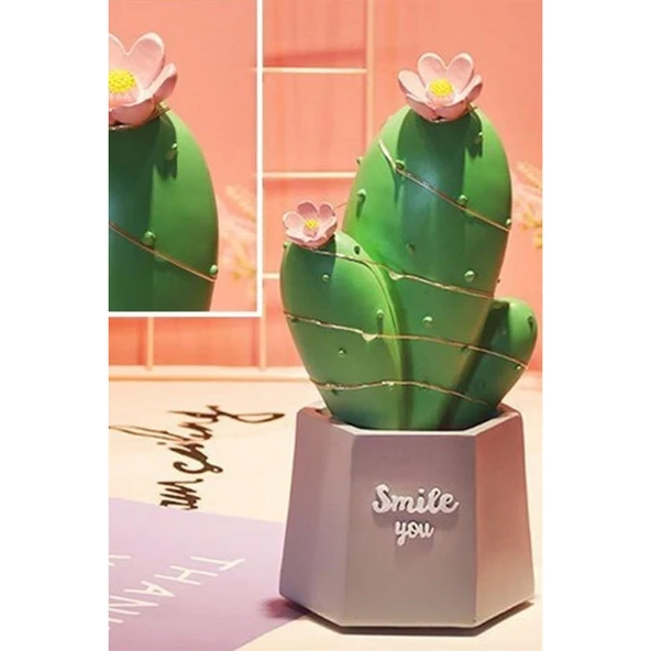 Buffer® Led Işıklı Kaktüs Biblo Ev Dekorasyon Ve Hediyelik Eşya Led Aydınlatma - Resim 7