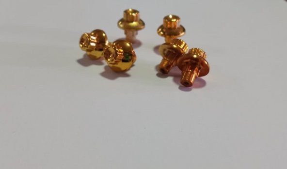 BBS Gold Jant Boncuğu Vida Sarı Perçin Civata 120 Adet - 3