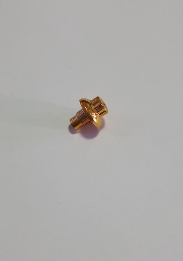 BBS Gold Jant Boncuğu Vida Sarı Perçin Civata 120 Adet - 5
