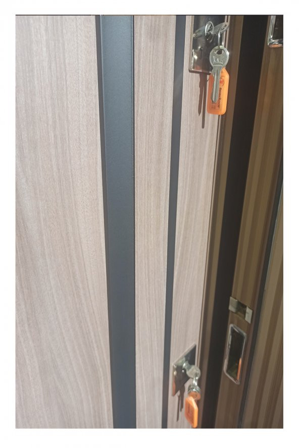 Tezwood 2467 Çelik Villa Kapısı,Lüks Çelik Kapı,Sağlam ve Dayanıklı - Resim 4