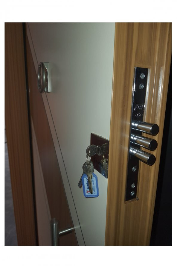 Tezwood 2578 Çift Renk Çelik Kapı,Daire Kapısı,Tırnaklı Model - 4
