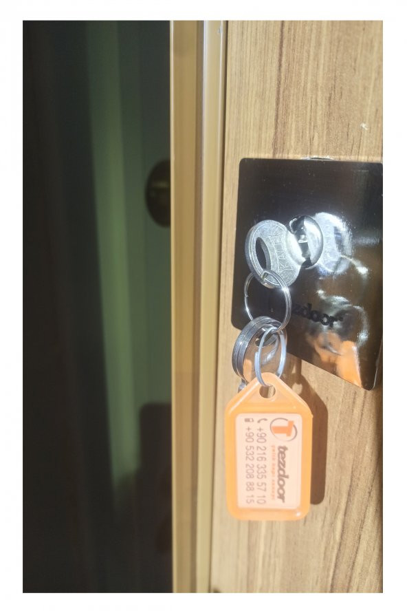 Tezwood 2468 Eskitme Çelik Kapı,Daire Kapısı,Kabartma Model - 7