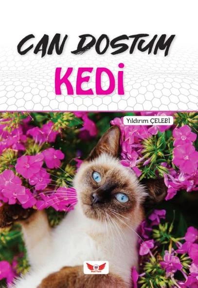 Can Dostum Kedi ürün görseli 1