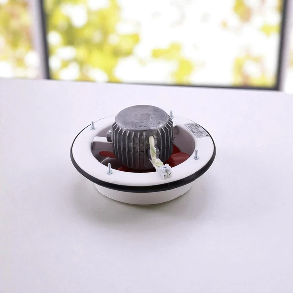 Baca Tipi Aspiratör Sessiz 250 mm Havalandırma Fan Ev ve Sanayi Tipi Güçlü Hava Emişli Koku Giderici - Resim 5