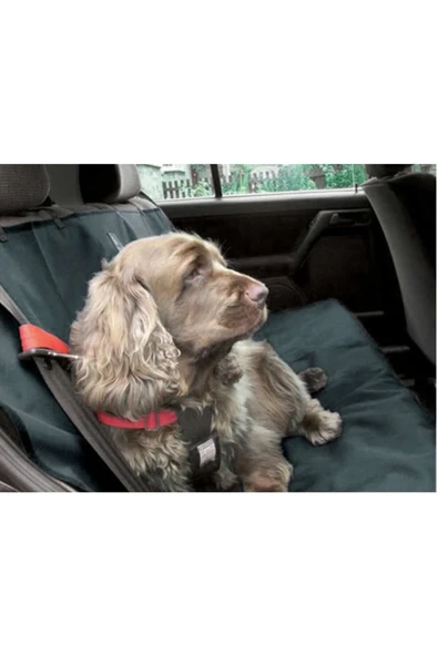 Unikum Araç Oto Araba Arka Koltuk Kedi Köpek Kılıfı Örtüsü Havuzu - 6