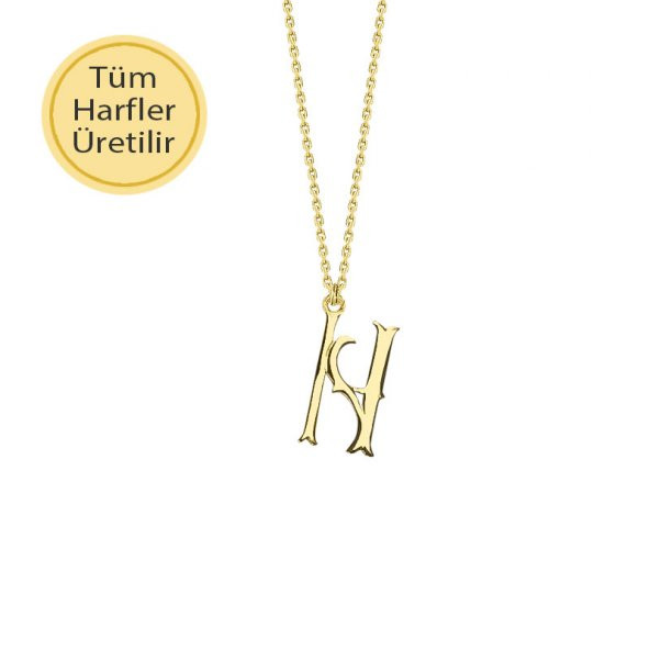 14 Ayar Altın N Harfli Kolye ürün görseli