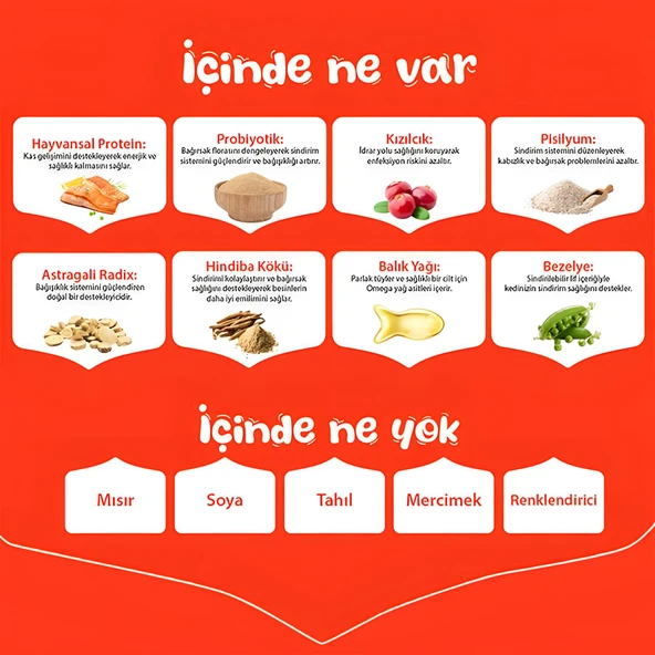 Wanpy Somonlu Tahılsız Yetişkin Kedi Maması 1,5kg - 4