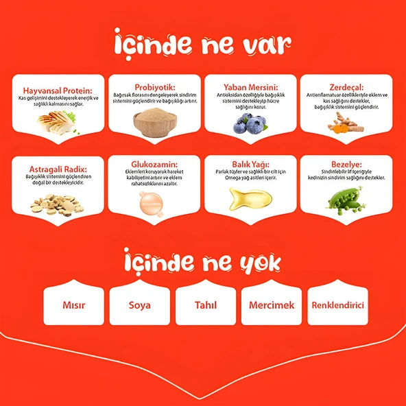 Wanpy Tavuklu Tahılsız Yetişkin Köpek Maması 1,5kg - 4