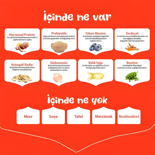 Wanpy Ördekli Tahılsız Yetişkin Köpek Maması 1,5kg - 4