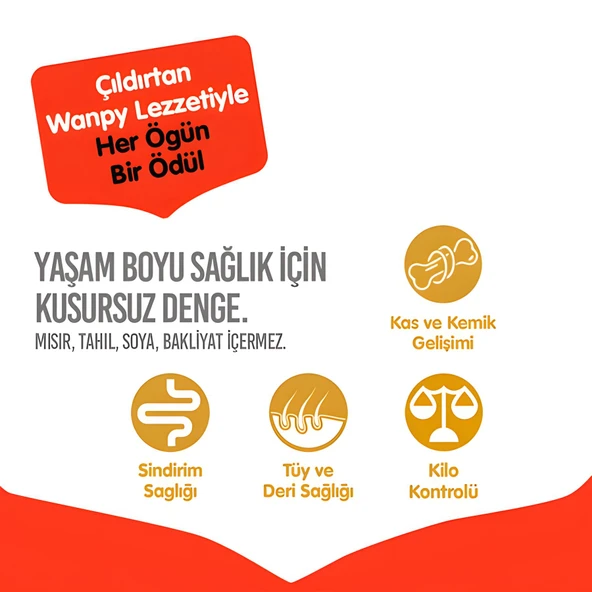 Wanpy Sığır Etli Tahılsız Yetişkin Köpek Maması 1,5kg - 3