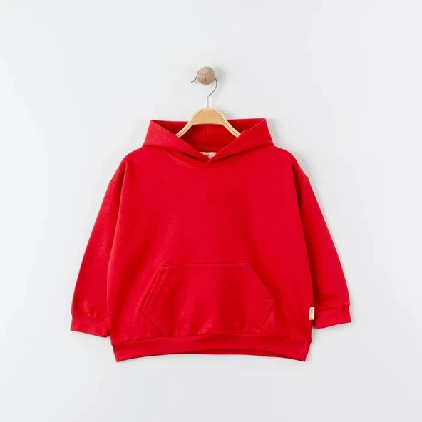 Unisex %100 Pamuk Oversize Kapşonlu Sweatshirt - 6