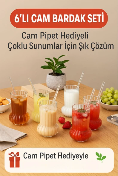 6 Adet Premium Cam Bardak Cam Pipet Hediyeli– Soğuk Kahve, Limonata ve Soda Sunumlar 500 ml