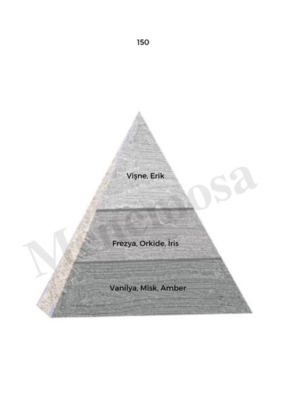 150 + 536 Kadın / Erkek Parfüm Edp 50 ml Woody / Fresh - Mnms150536 - Resim 2