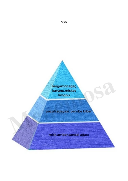 150 + 536 Kadın / Erkek Parfüm Edp 50 ml Woody / Fresh - Mnms150536 - Resim 3