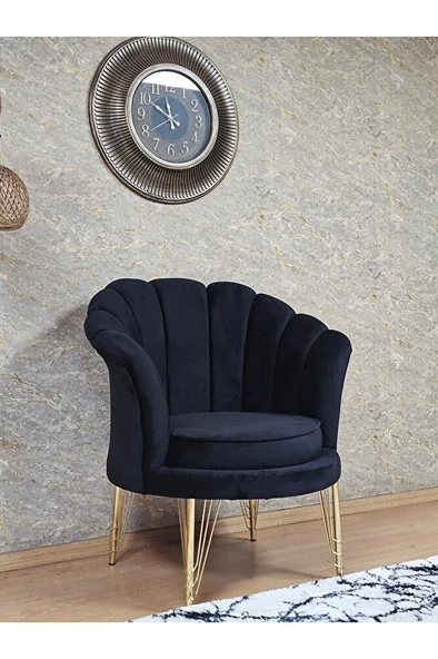 Tekli İstiridye Gold Kaplama Telli Ayak Çay Seti Koltuk Tekli Berjer , Balkon, Salon, Ofis Siyah Renk 47 x 47 Boyut/Ebat - Resim 3