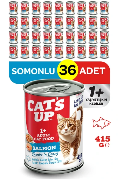 Cats Up Yaş Yetişkin Kedi Maması Somonlu 415gr 36Lı ürün görseli 1